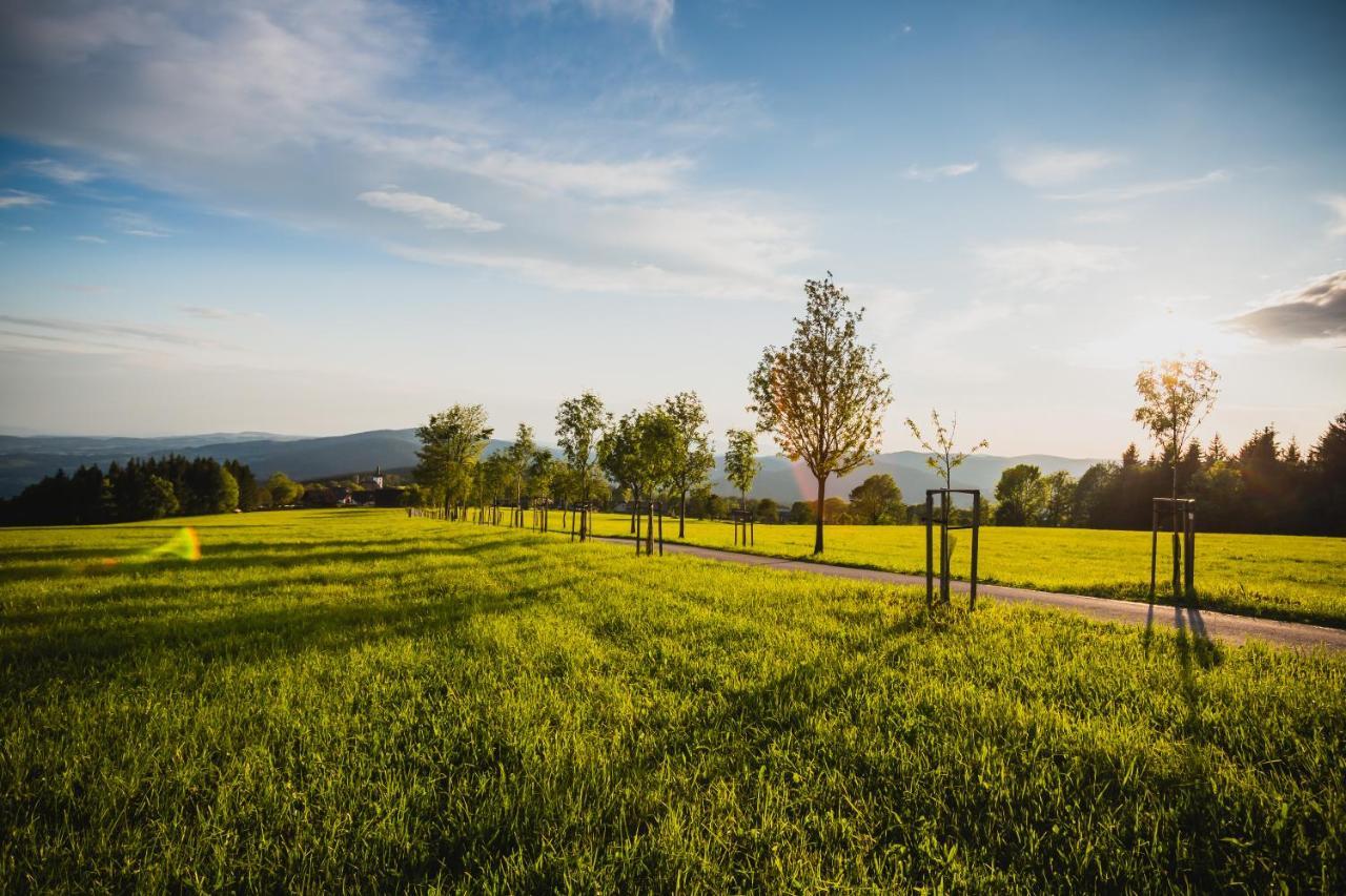 Turnovska Chata Kořenov Buitenkant foto