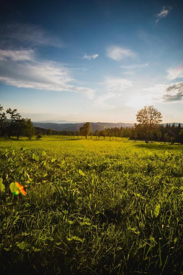 Turnovska Chata Kořenov Buitenkant foto