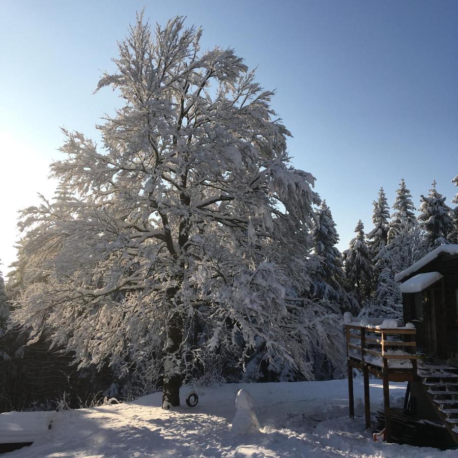Turnovska Chata Kořenov Buitenkant foto